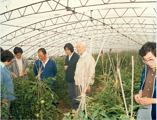中国植物病毒学奠基人裘维蕃：从零开始的科学报国路