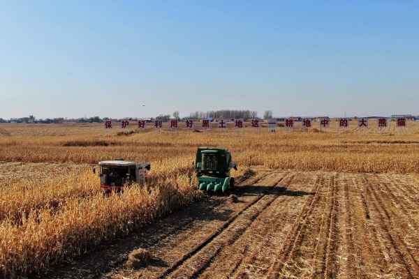 吉林梨树：绿色农业结硕果，丰收画卷促振兴