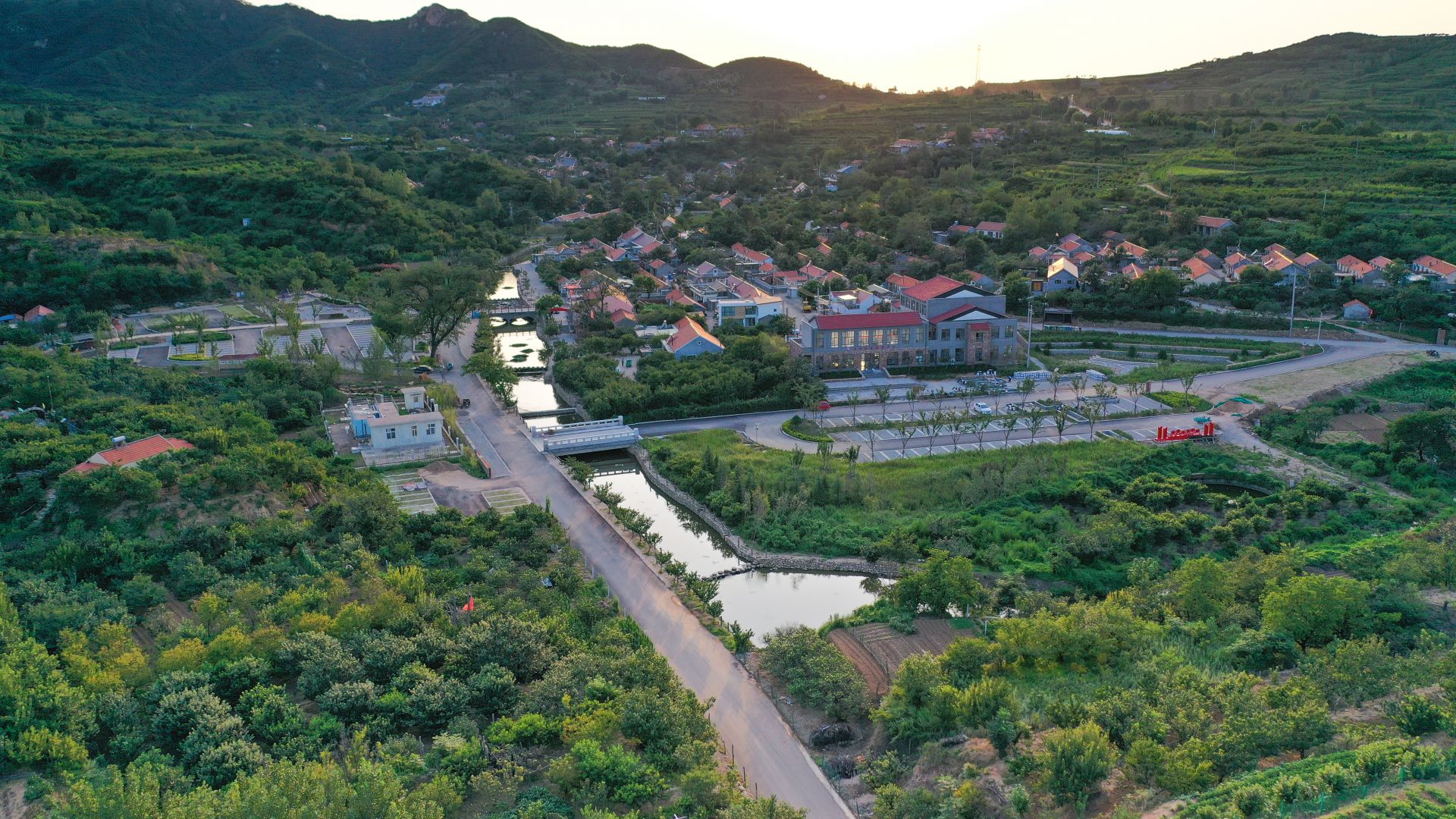 青岛片区化振兴:绘就乡村高质量发展新画卷