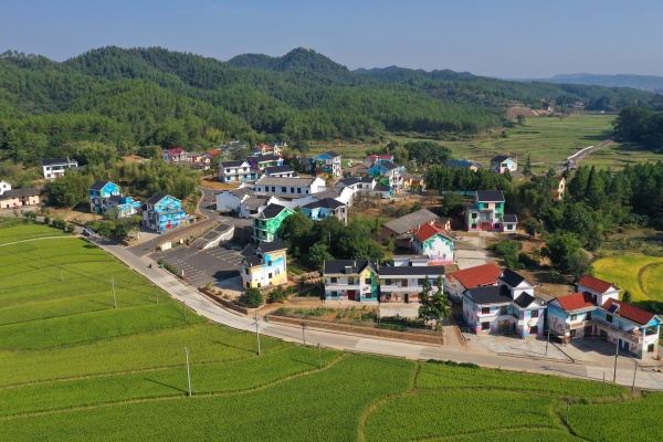 万安六种模式壮大村集体经济,村民增收路子宽