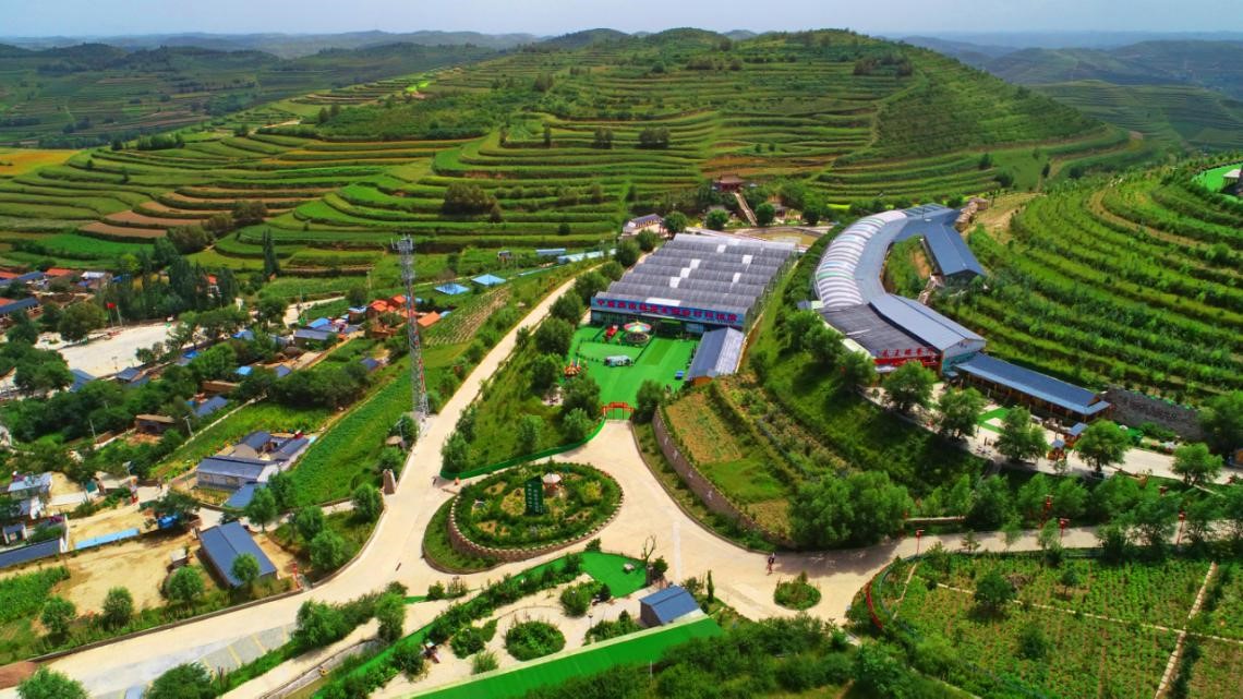 宁夏龙王坝村:闽宁协作绘就乡村蝶变新画卷