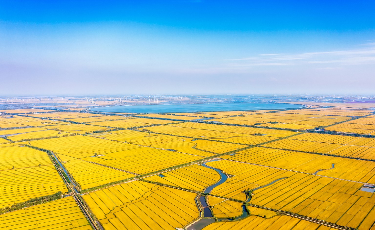 中共中央办公厅 国务院办公厅关于加强耕地保护提升耕地质量完善占补平衡的意见