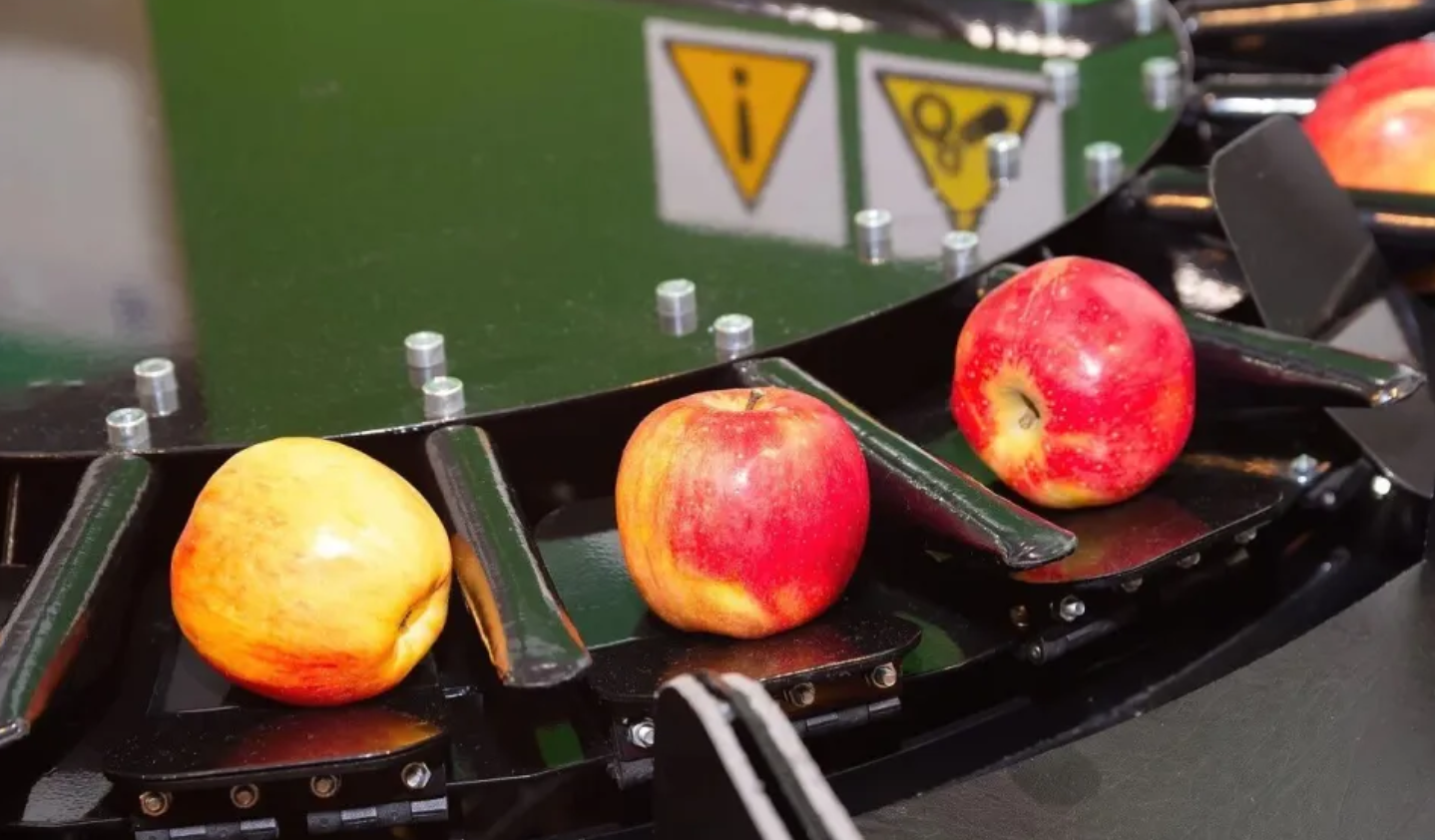 为什么同样是鸡蛋有的3元一斤有的5元一斤?揭秘农产品价格差异背后的真正原因