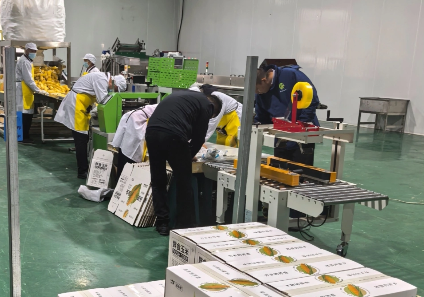 一根甜玉米如何串起乡村振兴链？山西胡堡村的产业破局之路