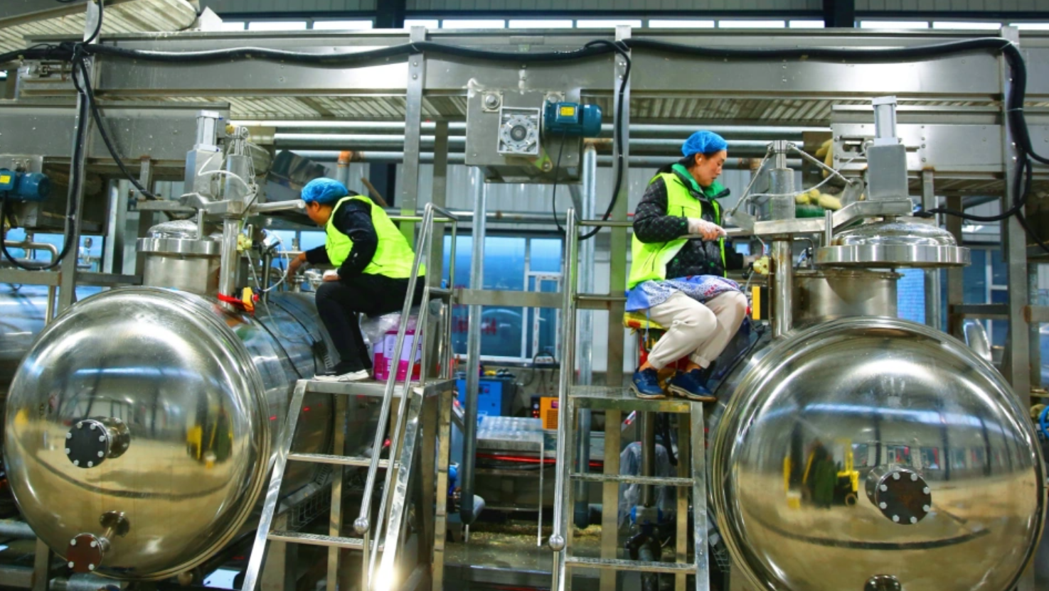 玉米加工生产线