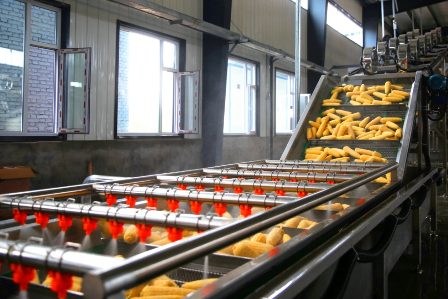 玉米加工流水作业