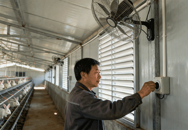 兔舍顶部通风系统调节远景