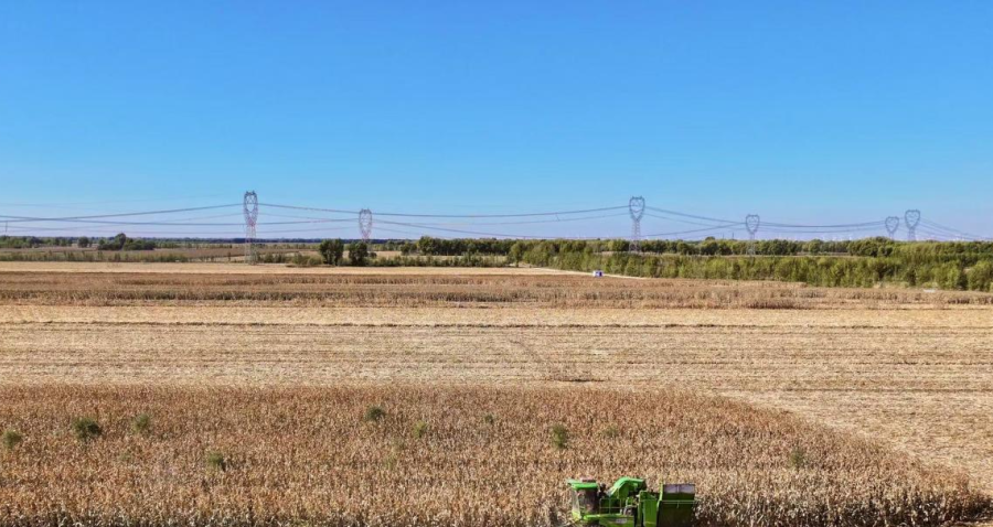 开鲁县高标准农田景象