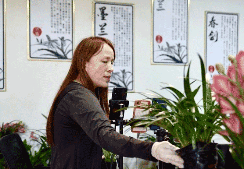 翁源兰花直播间