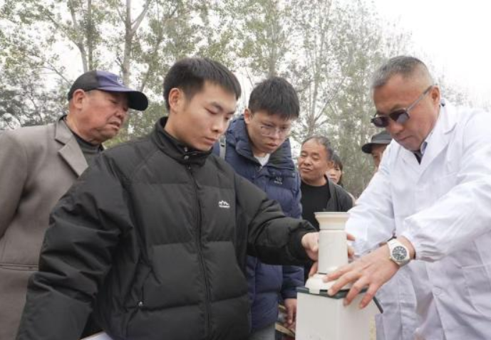 山西“吨半粮”技术破局:从试验田到百姓田的丰收革命