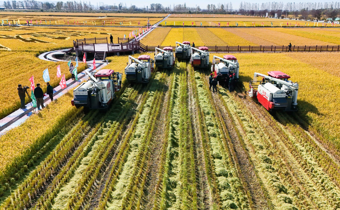 黑龙江方正县:多举措并举,富硒稻米产业蓬勃发展