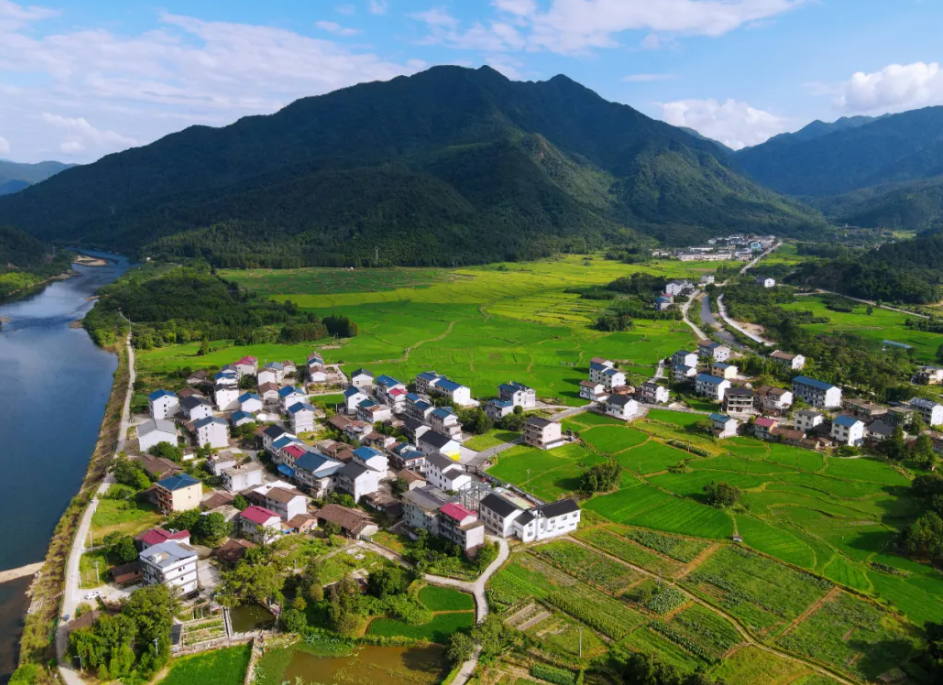 沙湾村“咖啡+”带动旅游增收,多元业态激活乡村经济