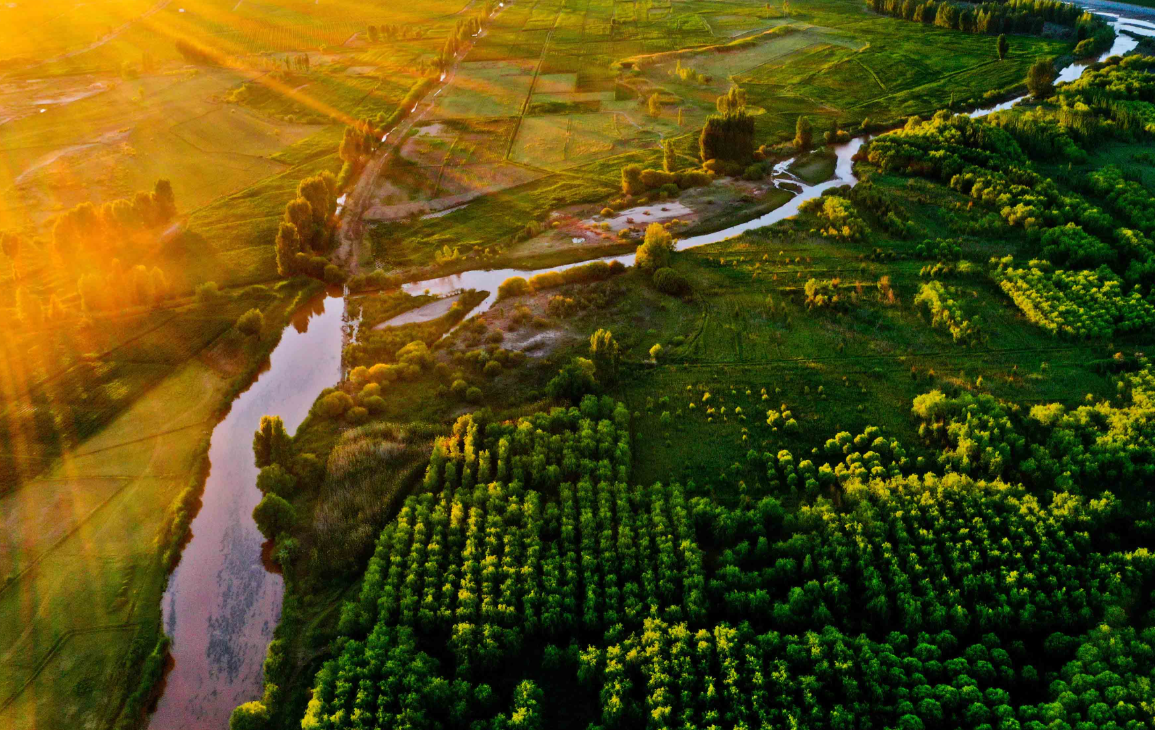 临泽县:碳标签引领农业绿色转型新征程