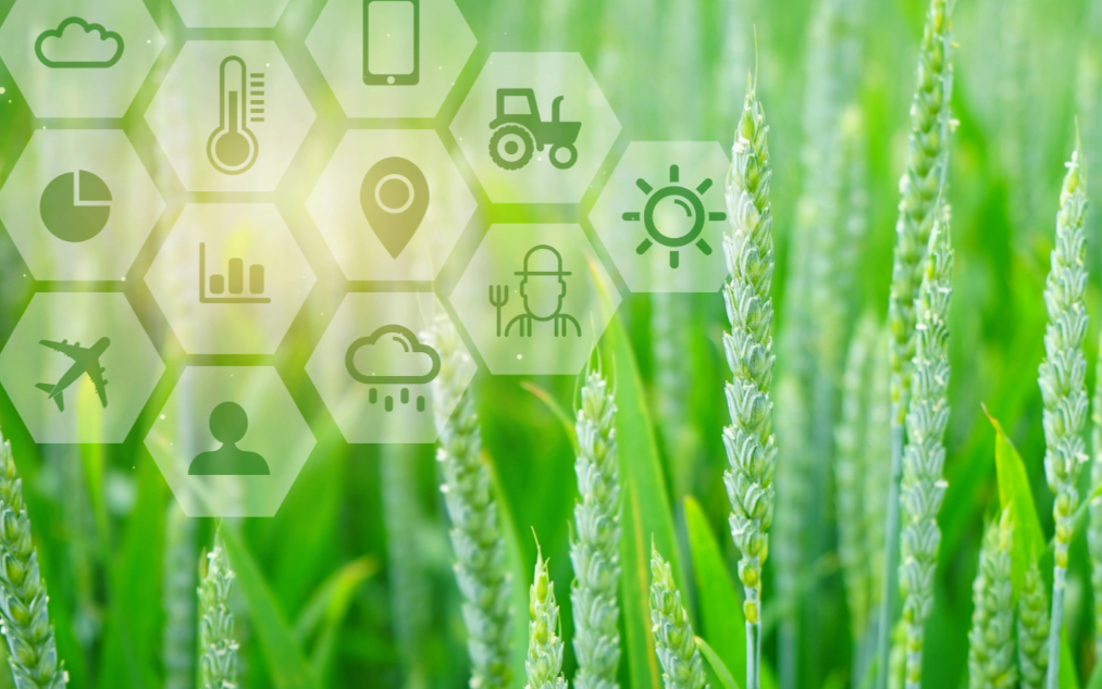 2025植物表型组学研讨会：AI助力农业育种新飞跃