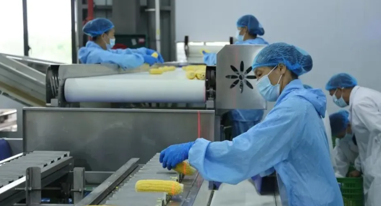 广西象州县构建面向东盟跨境冷链物流体系，打通农产品国际通道助力乡村振兴