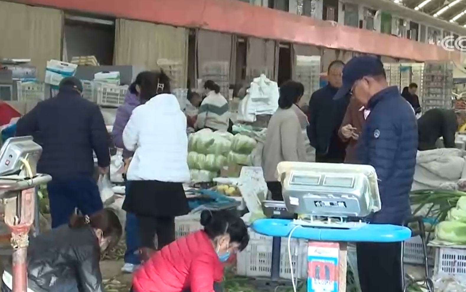 寒潮来袭，多地全力守护“菜篮子”稳产保供