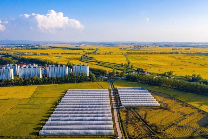 黑土良田筑丰年：吉林高标准农田建设超额收官筑牢千亿斤粮食产能根基