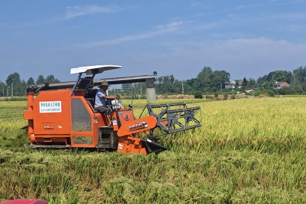 小麦收割机有哪些常见故障?收割机常见问题排查指南