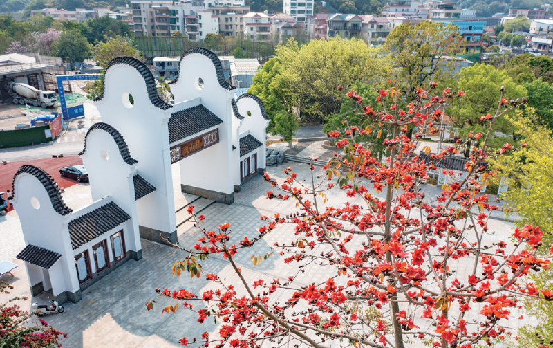 太和镇白山村：从生态宜居到美丽经济的乡村振兴之路