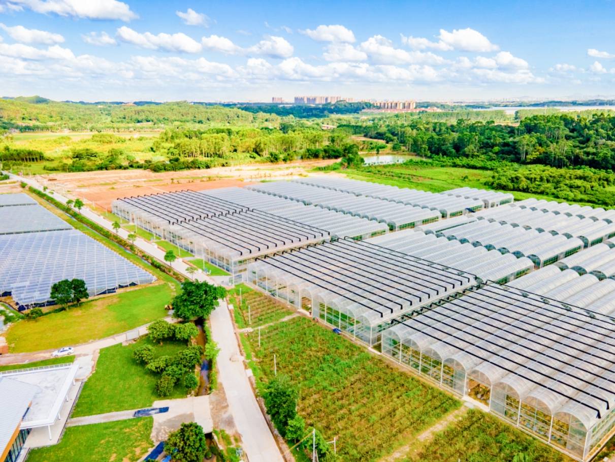 贵港:AI赋能现代农业,走出乡村振兴新路子