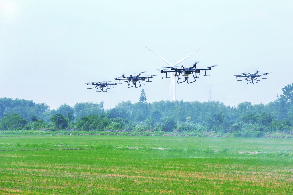 上海探索智慧农业新实践:无人农场精准种地,数据赋能粮食稳产增收