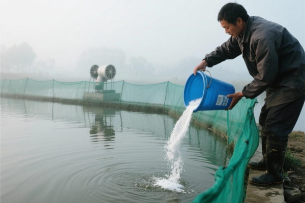 夏天怎样用渔药才安全？记住这八个要点