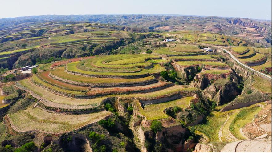 府谷县多管齐下：旱作农业闯出高质量发展新路