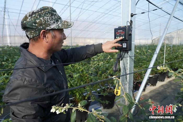“小车间”到“大集群”:山东多地产业“抱团”发展,激活乡村振兴新动能