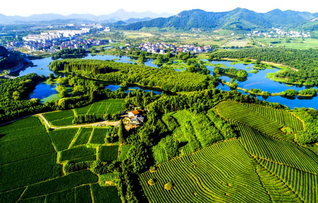 全国学习运用“千万工程”经验现场会召开,扎实推进乡村全面振兴