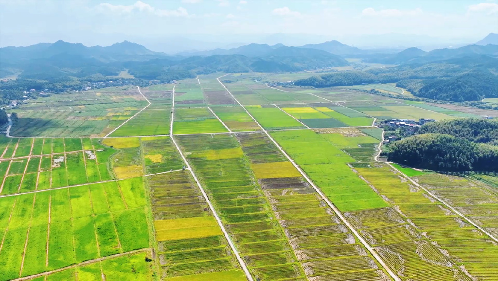 南平高标准农田建设:多举措并举,筑牢丰收根基