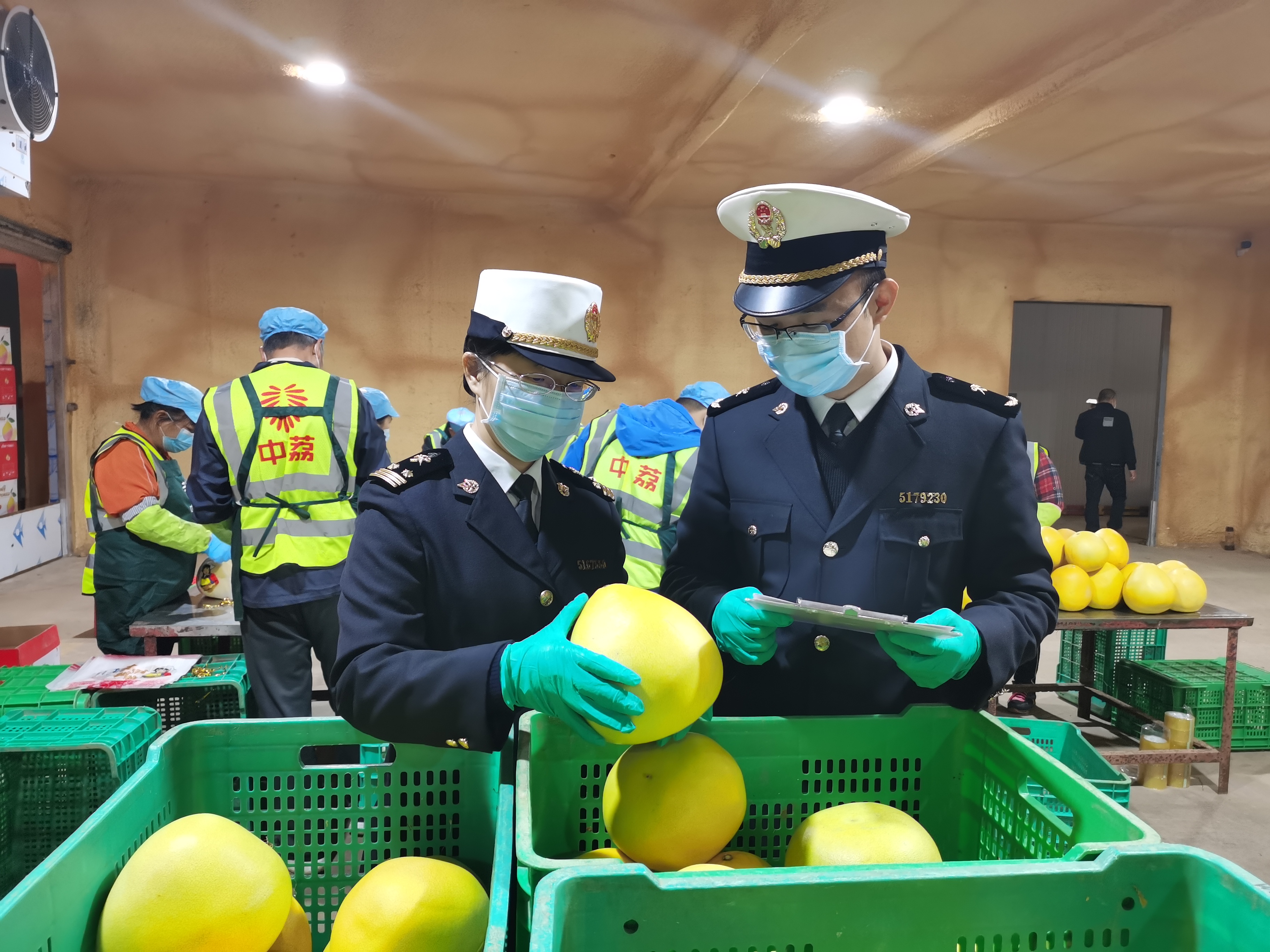 广东特色农产品：乘风破浪，香飘全球的&ldquo;鲜&rdquo;滋味