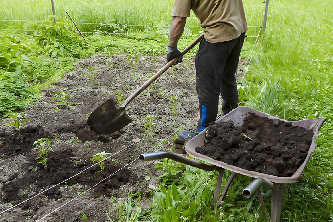 四种常见施肥方法哪个最有效？一次看懂所有优缺点