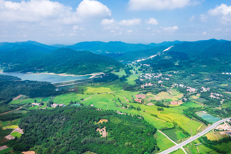 湖北宜城乡村振兴:一条路激活一盘棋,多元产业绘就“路畅业兴”新画卷