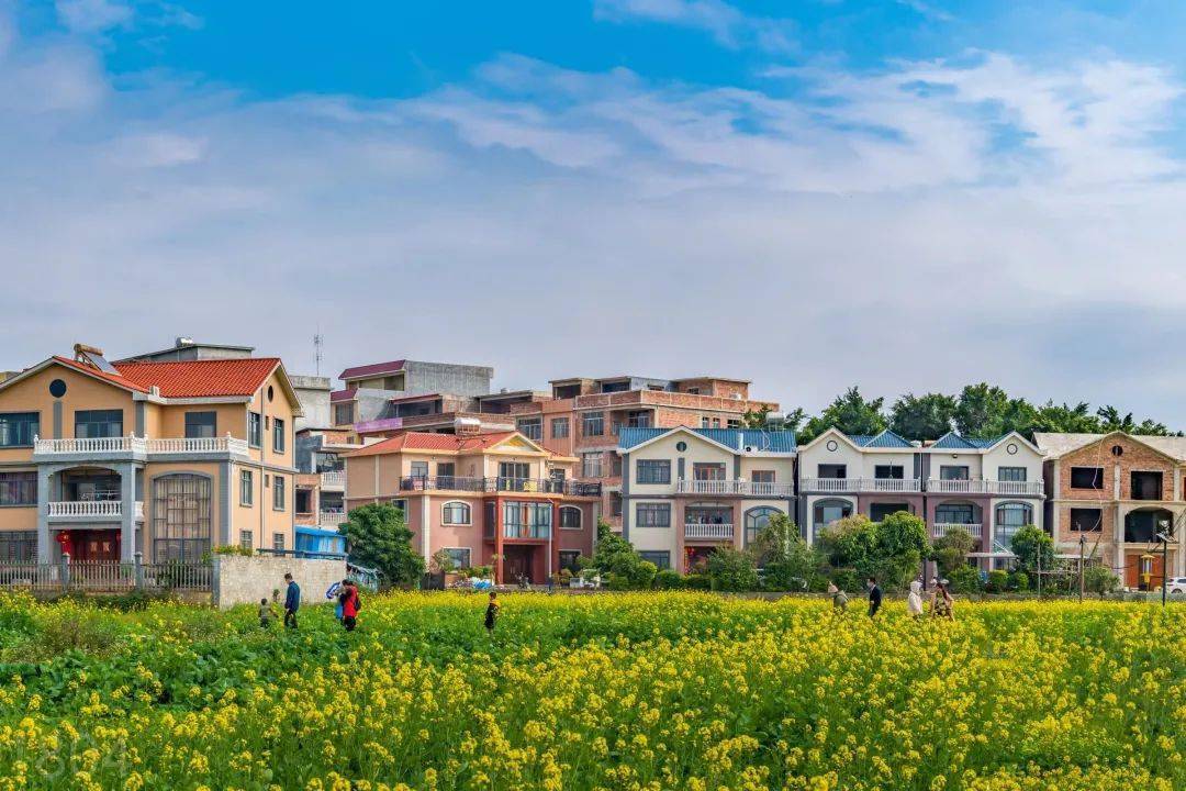 防城港港口区:创新驻村模式,激活乡村振兴“一池春水”