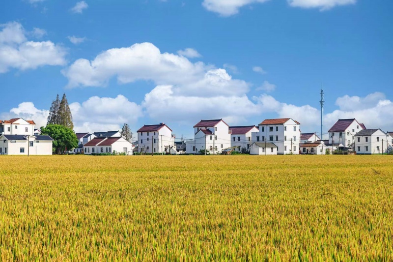 上海农业：小体量迸发大能量，多维度助力大发展