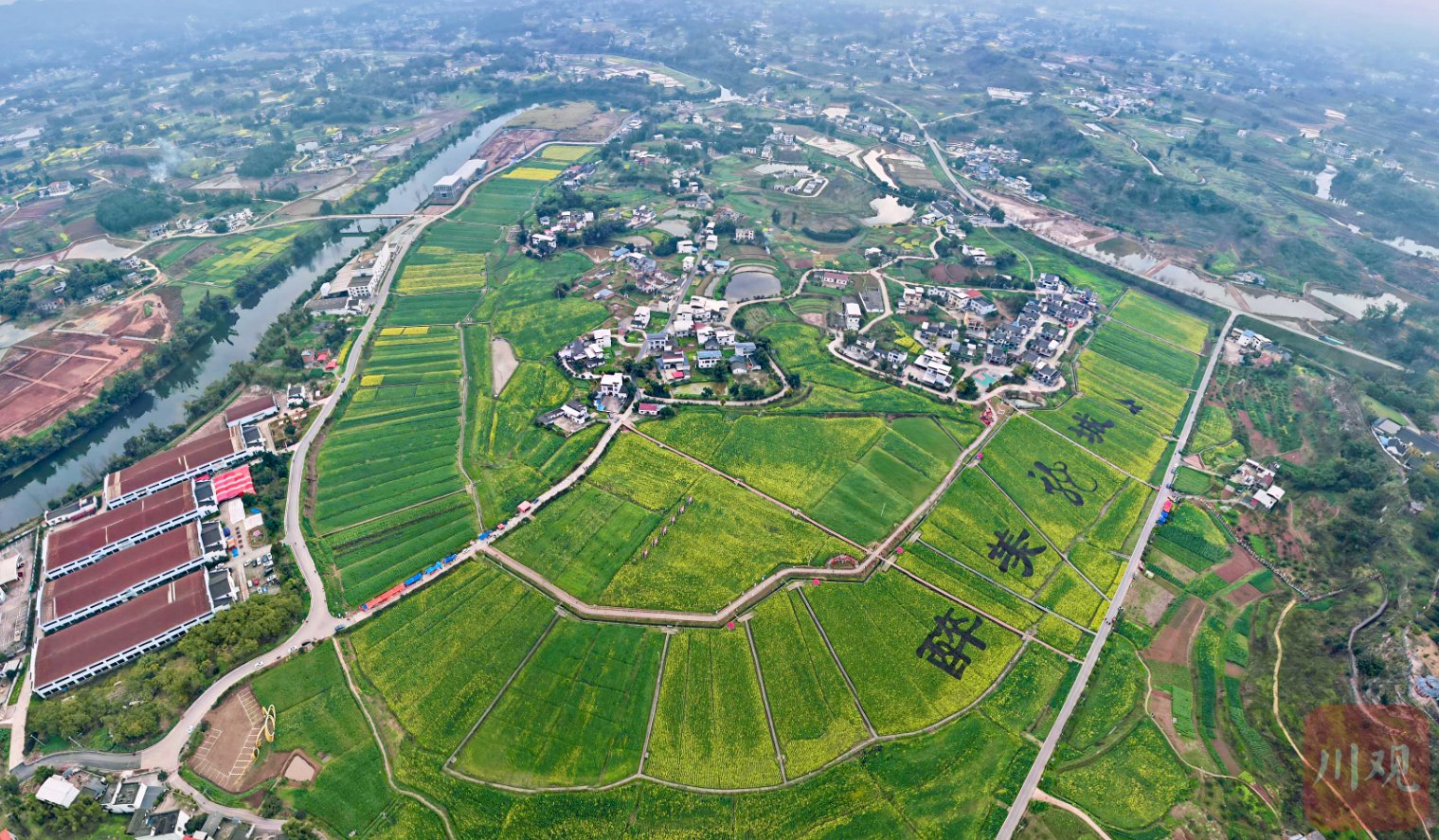 解读四川农业社会化服务新政：目标、任务与行动方向