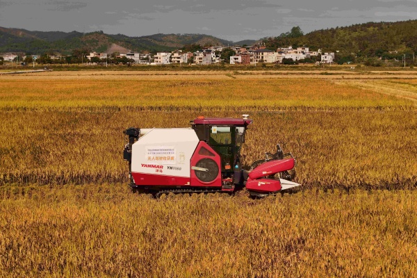 如何提高农业效益？提高农业效益有哪些方法？