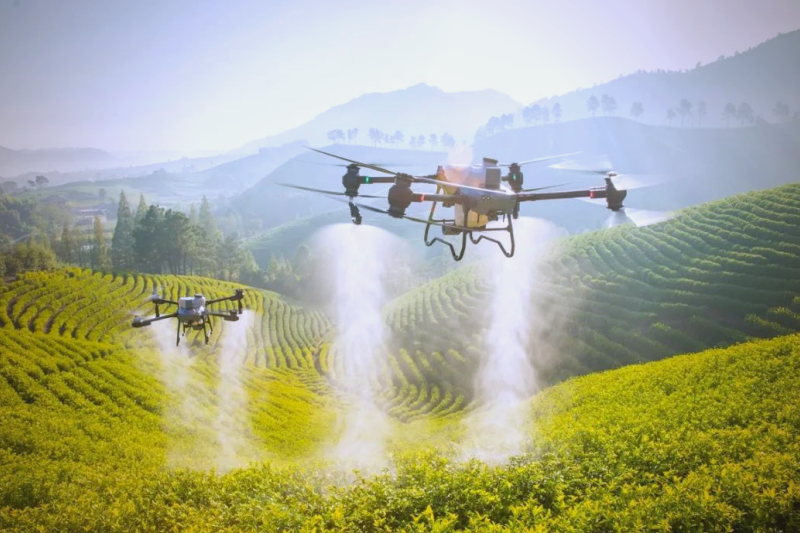 四川发布农业社会化服务新规划：五年内服务小农户超千万户