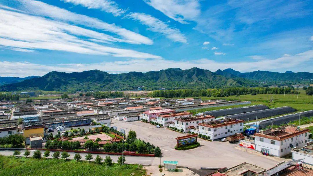 湖南蒋坊乡:产业、服务、设施齐发力,乡村焕新颜