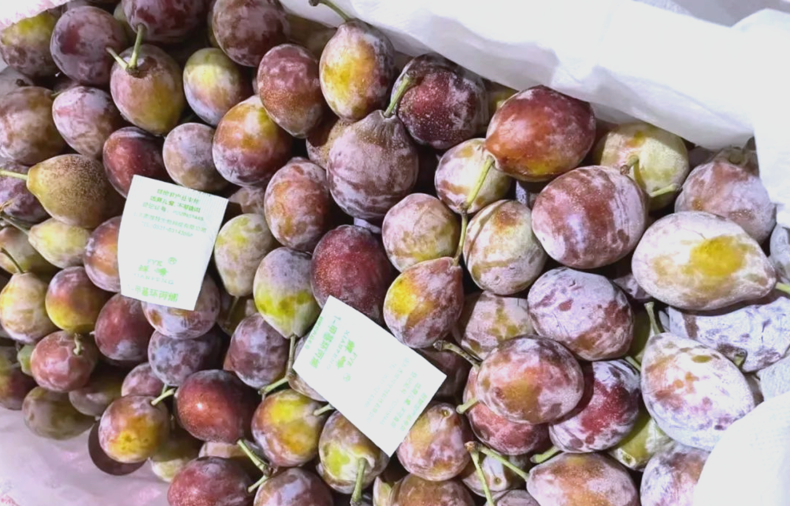 水果储存的近景