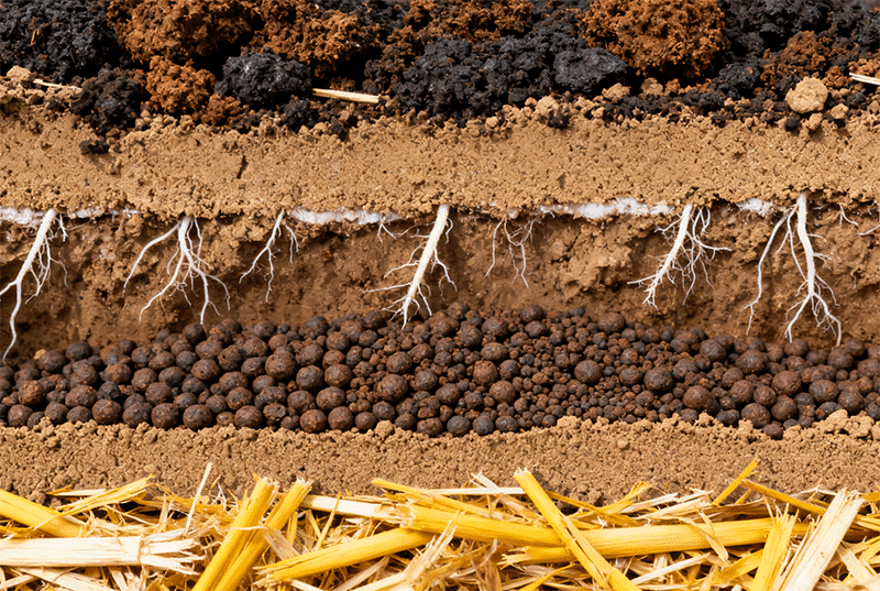 分层施肥技术秸秆与有机肥铺设近景