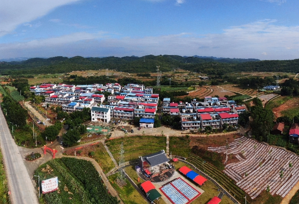 瑶乡蝶变:一个移民新村的“颜值”与“产值”双丰收