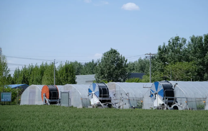 通州实验站:轻简化智能滴灌,开启农业节水新篇