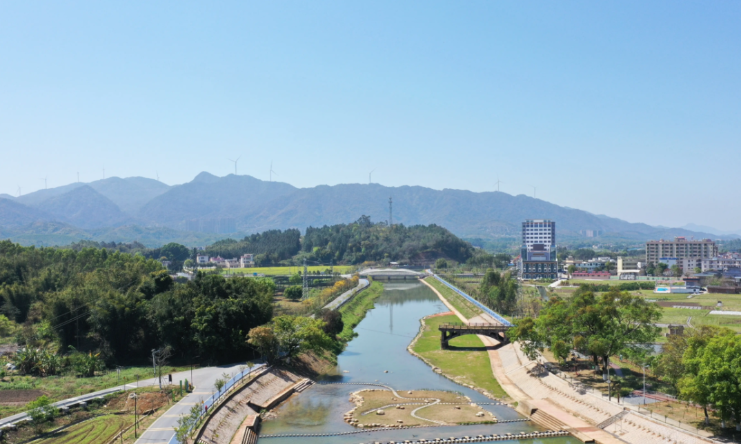 从“脏乱差”到省级典型:新坣村的乡村振兴答卷