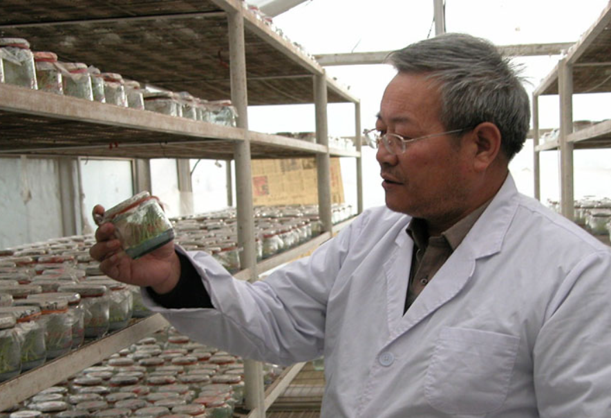 “洋芋专家”王一航:把论文写在黄土地上的“王科学”