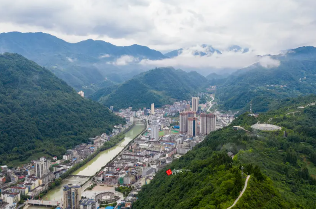 陕西镇巴:大山深处药飘香 道地药材助振兴