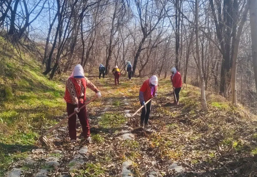核桃林下挖出&ldquo;金疙瘩&rdquo;：这个乡的致富经，让荒山变金山！
