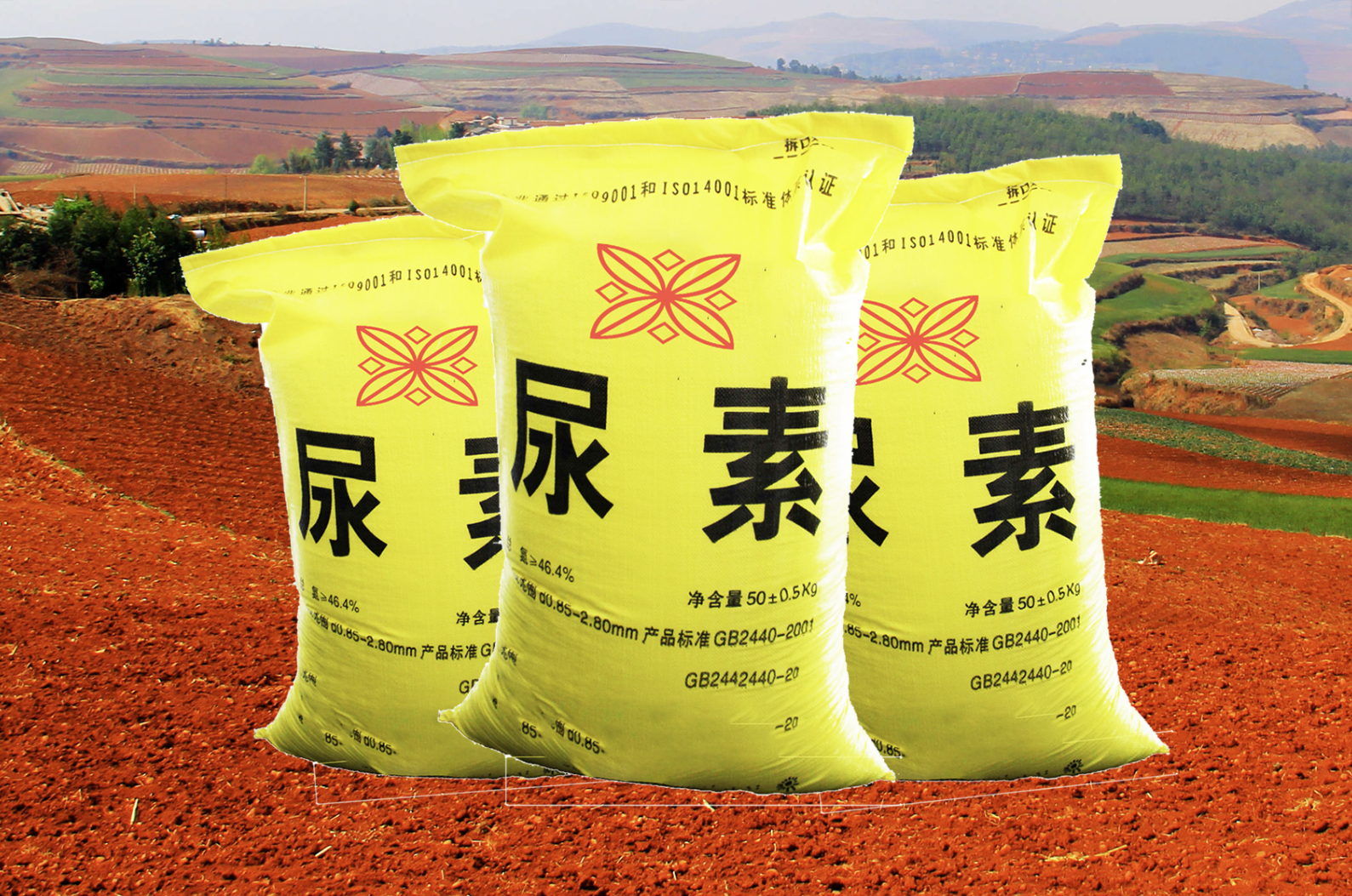 尿素怎么施肥效果好？四大关键步骤决定肥效高低