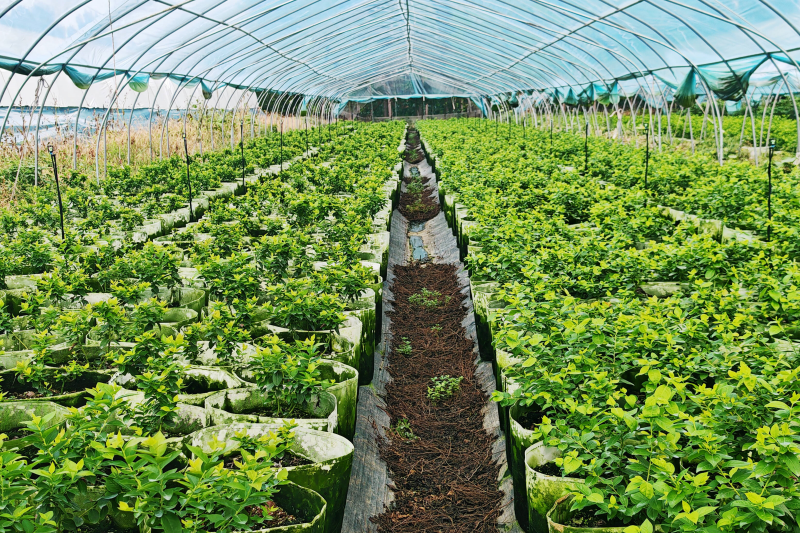 什么是生态种植？生态种植科普指南