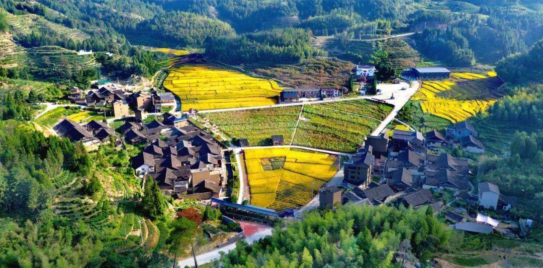 福建含溪村：红色基因激活乡村振兴新动能